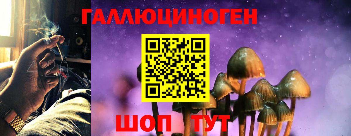 Псилоцибиновые грибы Magic Shrooms  Вход с VPN  Аксай 